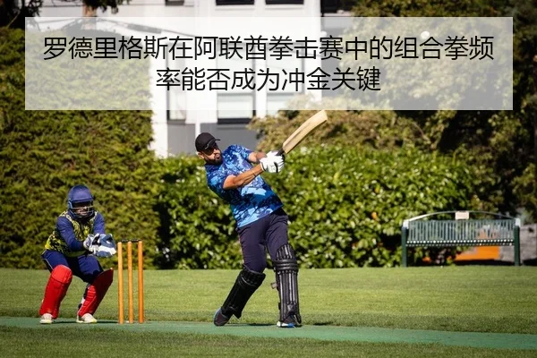 罗德里格斯在阿联酋拳击赛中的组合拳频率能否成为冲金关键