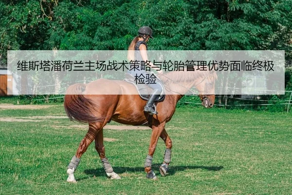 维斯塔潘荷兰主场战术策略与轮胎管理优势面临终极检验